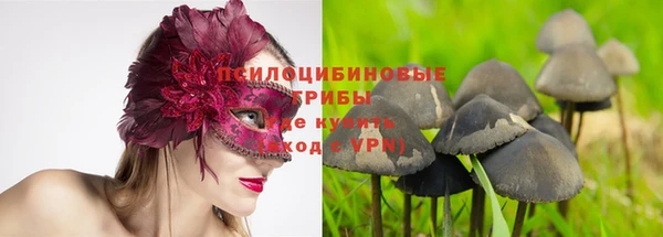 бошки Волосово